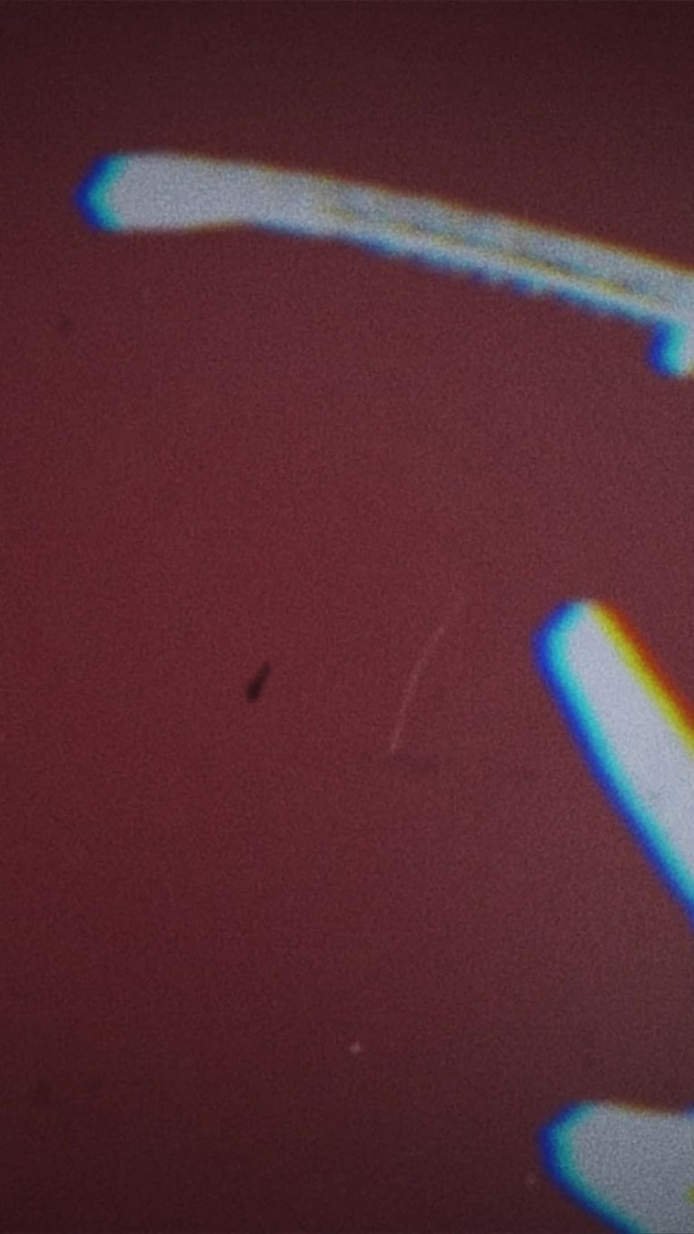 Instagram post from ob_stefanbelz. This post is in position 8.